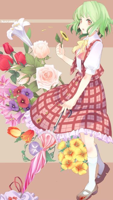 【萌娘资源】东方project萌娘资源分享 风见幽香壁