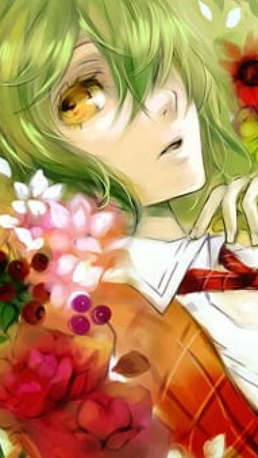 【萌娘资源】东方project萌娘资源分享 风见幽香壁