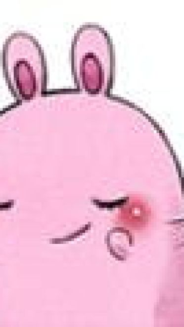 【QQ表情】肉团生肖