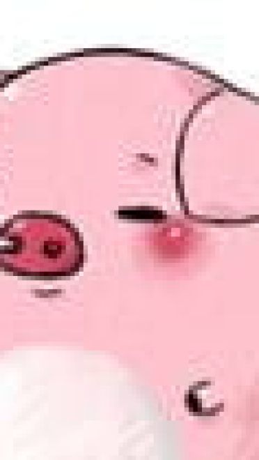 【QQ表情】肉团生肖