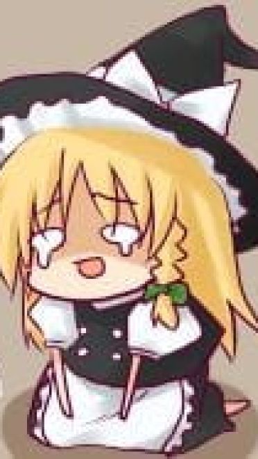 【萌娘资源】东方project 东方红魔馆QQ表情290P