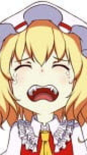 【萌娘资源】东方project 二小姐芙兰朵露专场 芙