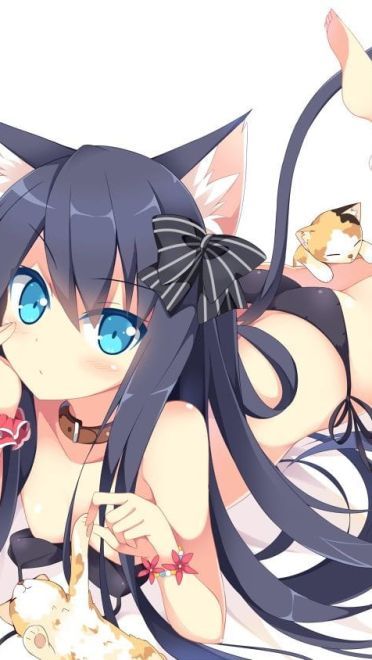听说猫咪和少女最配哦 电脑桌面壁纸