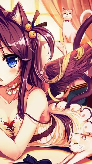 听说猫咪和少女最配哦 电脑桌面壁纸