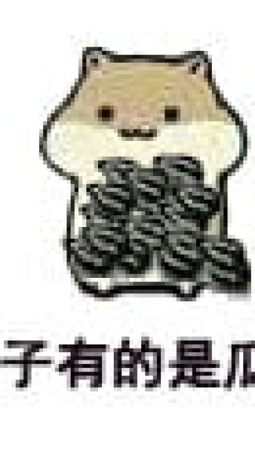 吓得我瓜子都掉了 仓鼠瓜子表情包