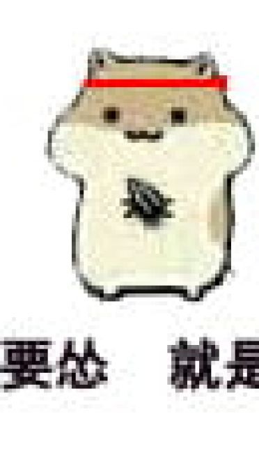 吓得我瓜子都掉了 仓鼠瓜子表情包