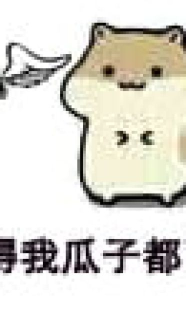 吓得我瓜子都掉了 仓鼠瓜子表情包