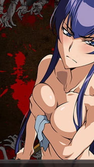 学园默示录  毒岛冴子  win7 电脑主题