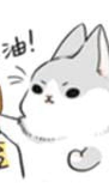 呆萌萌的扒着 灰兔子表情包