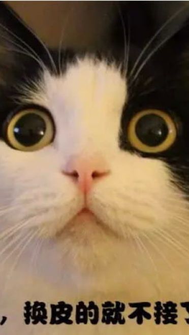 表情秘技 一套打遍游戏圈的表情包