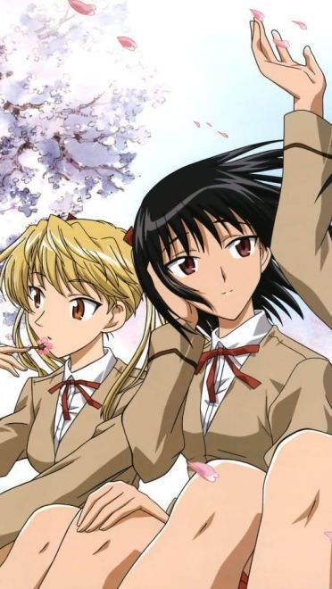 金色傲娇双马尾 宅男最爱的萌女