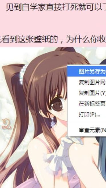 白色相簿2电脑壁纸 为什么你收图这么熟练