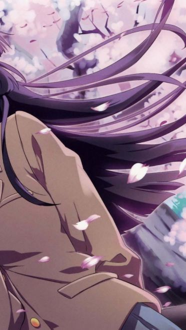 我的妹妹不可能那么可爱五更琉璃 黑猫壁纸美图(1)