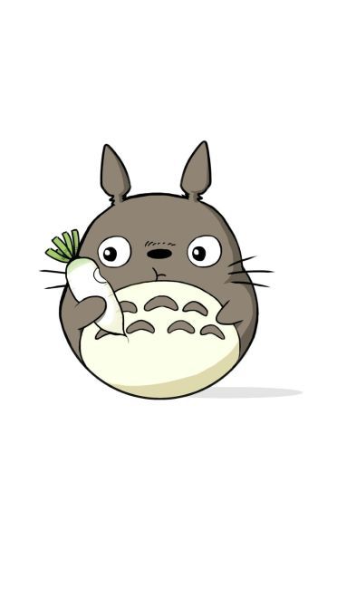 龙猫手机壁纸 萌你一脸