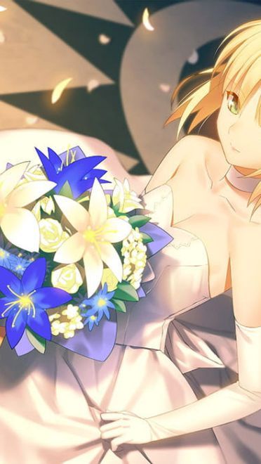 Fate/zero 吾王saber电脑壁纸