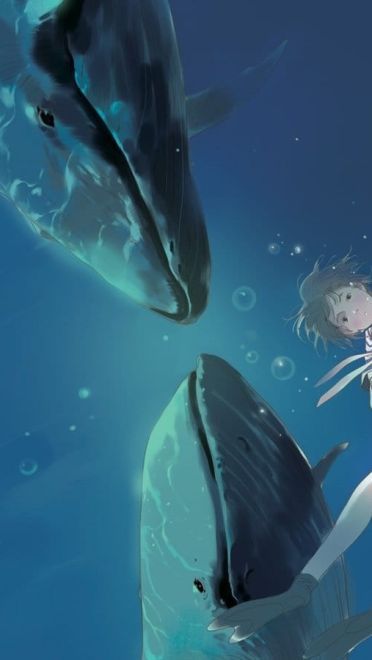 夏天来了，是时候到海边走走了！