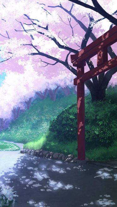 壁纸美作：夏日的神社