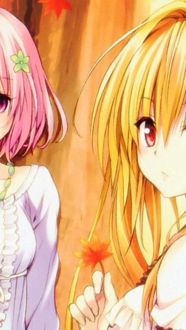 TOLOVE出包女王梦梦电脑壁纸下载