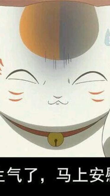 猫咪老师 表情包一组