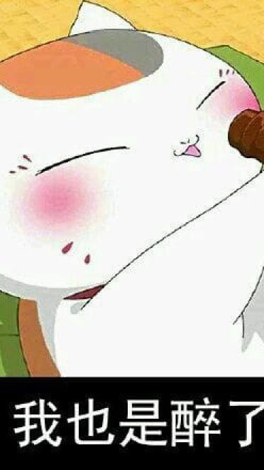 猫咪老师 表情包一组