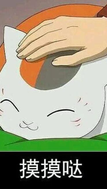 猫咪老师 表情包一组