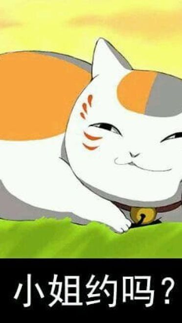 猫咪老师 表情包一组