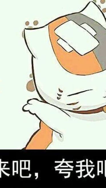 猫咪老师 表情包一组