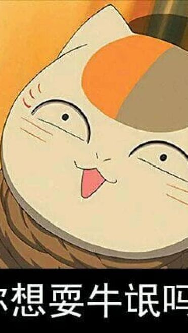 猫咪老师 表情包一组