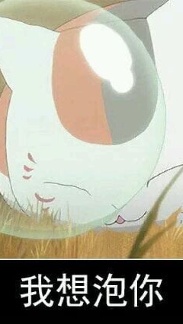 猫咪老师 表情包一组