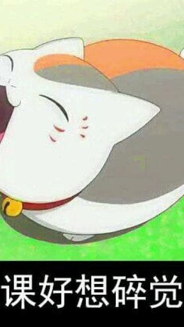 猫咪老师 表情包一组