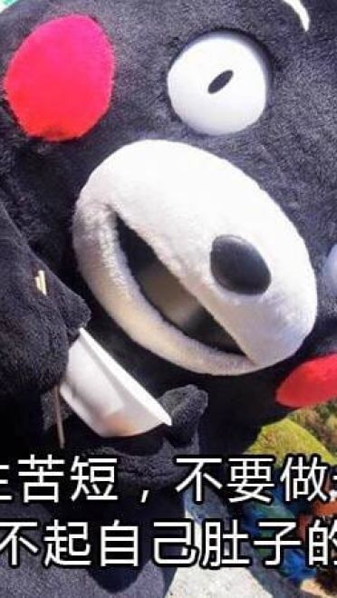 关于减肥的二三事 熊本熊系列表情