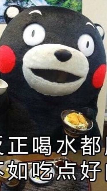关于减肥的二三事 熊本熊系列表情