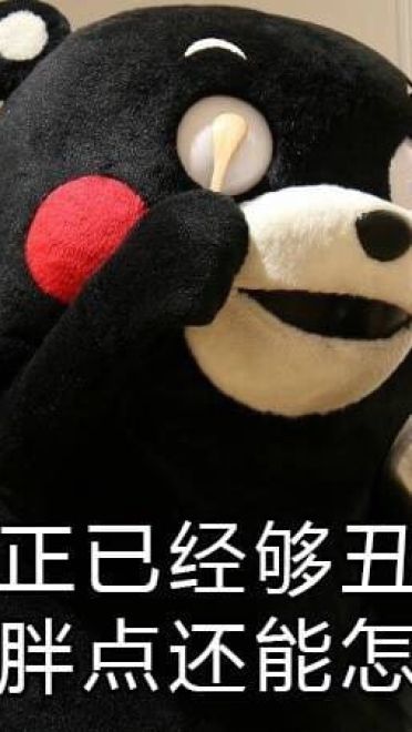 关于减肥的二三事 熊本熊系列表情