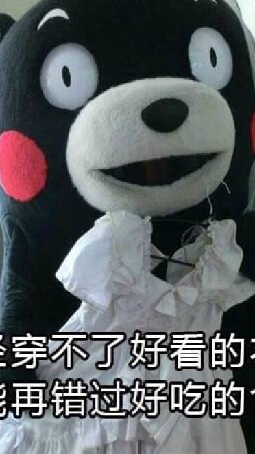 关于减肥的二三事 熊本熊系列表情