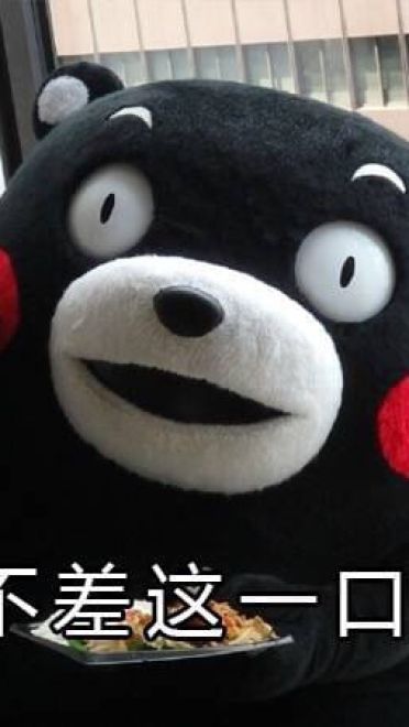 关于减肥的二三事 熊本熊系列表情