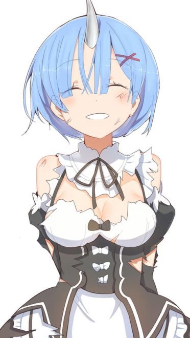 看不到雷姆我要死了！雷姆福利本子大图下载(1)