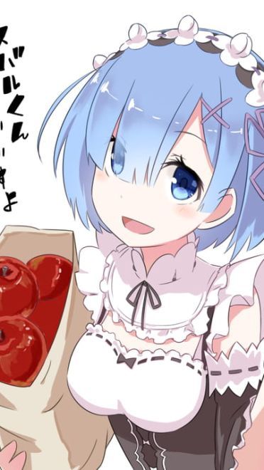 看不到雷姆我要死了！雷姆福利本子大图下载(1)