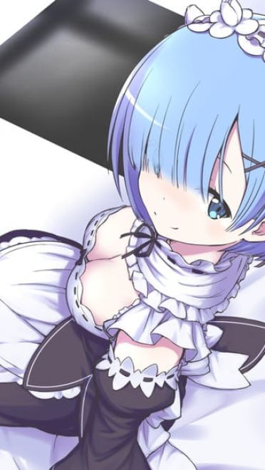 看不到雷姆我要死了！雷姆福利本子大图下载(1)