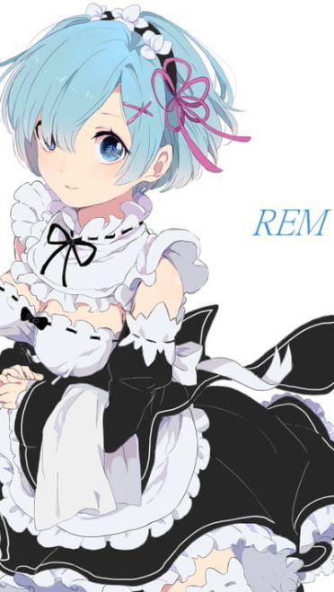 看不到雷姆我要死了！雷姆福利本子大图下载(1)