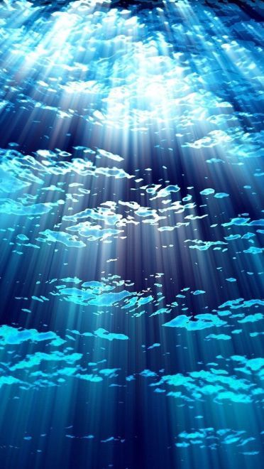 动画场景美图分享 让我们的此生留在二次元