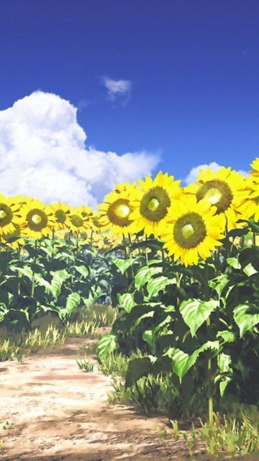 动画场景美图分享 让我们的此生留在二次元