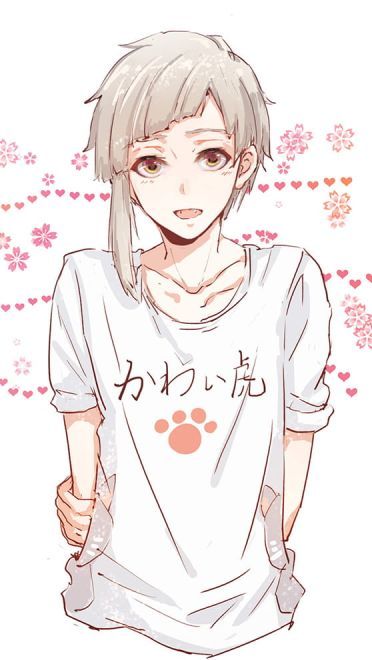 文豪野犬 安卓手机主题 下载