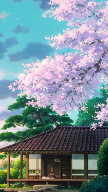 樱花如雨 樱花系列精美大图壁纸下载