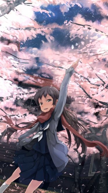 樱花如雨 樱花系列精美大图壁纸下载