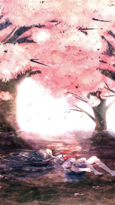 樱花如雨 樱花系列精美大图壁纸下载