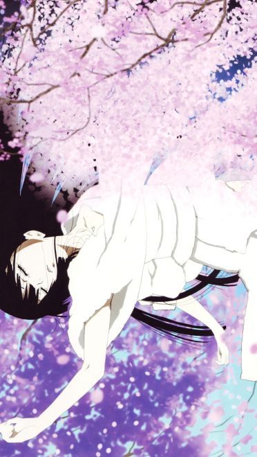 樱花如雨 樱花系列精美大图壁纸下载