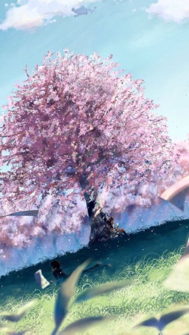 樱花如雨 樱花系列精美大图壁纸下载