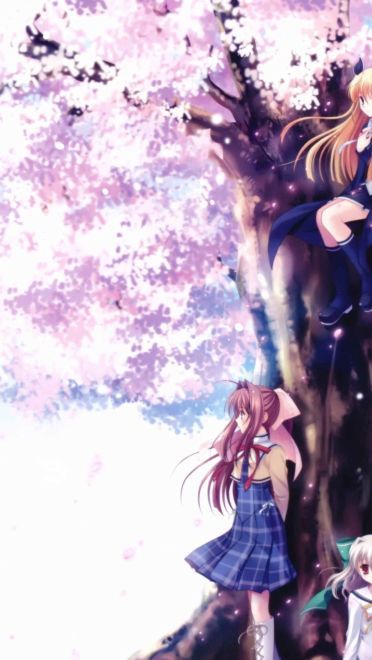 樱花如雨 樱花系列精美大图壁纸下载