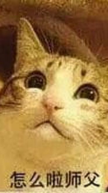 师徒系列表情包 线上游戏值得拥有！