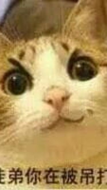 师徒系列表情包 线上游戏值得拥有！